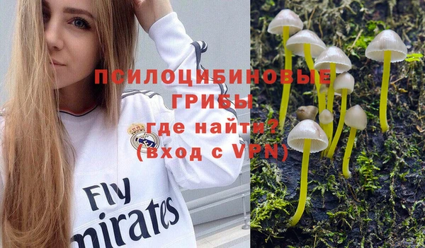 экстази Алзамай
